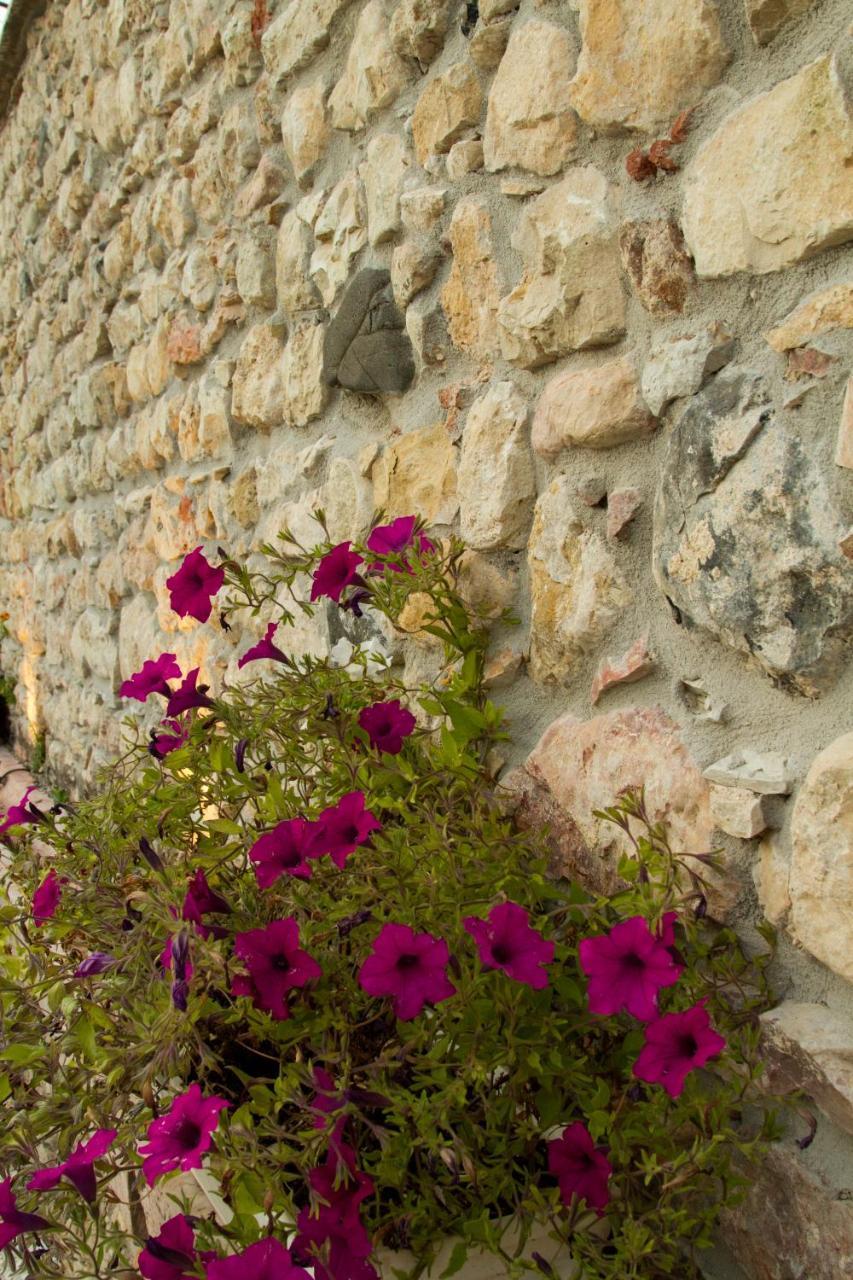 Villa Di Cazzano - Bioluxury Living Soave  Eksteriør bilde