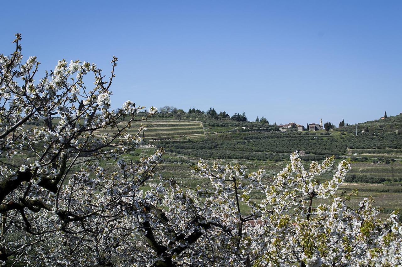 Villa Di Cazzano - Bioluxury Living Soave  Eksteriør bilde